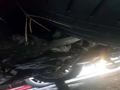 2021 Audi A7 WAUZZZF21MN085219 VIN:WAUZZZF21MN085219