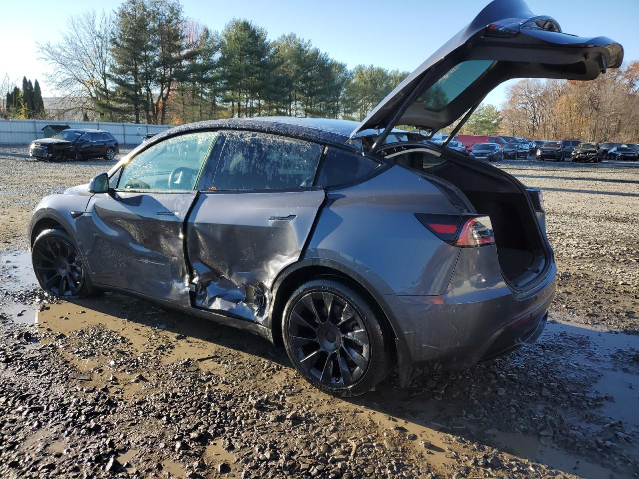 2023 TESLA MODEL Y  VIN:7SAYGDEE4PA028616