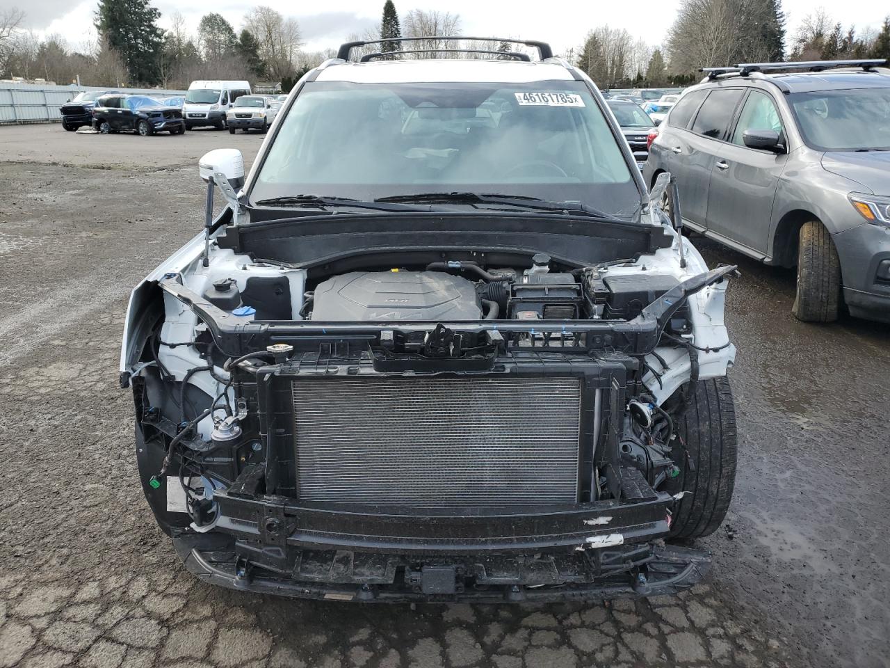 2024 KIA TELLURIDE EX VIN:5XYP3DGC2RG451676