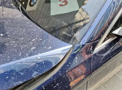 2020 BMW 520 WBAJF5107LCE66980 VIN:WBAJF5107LCE66980