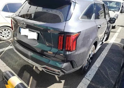 2021 Kia Sorento KNARH81BGMA012954 VIN:KNARH81BGMA012954