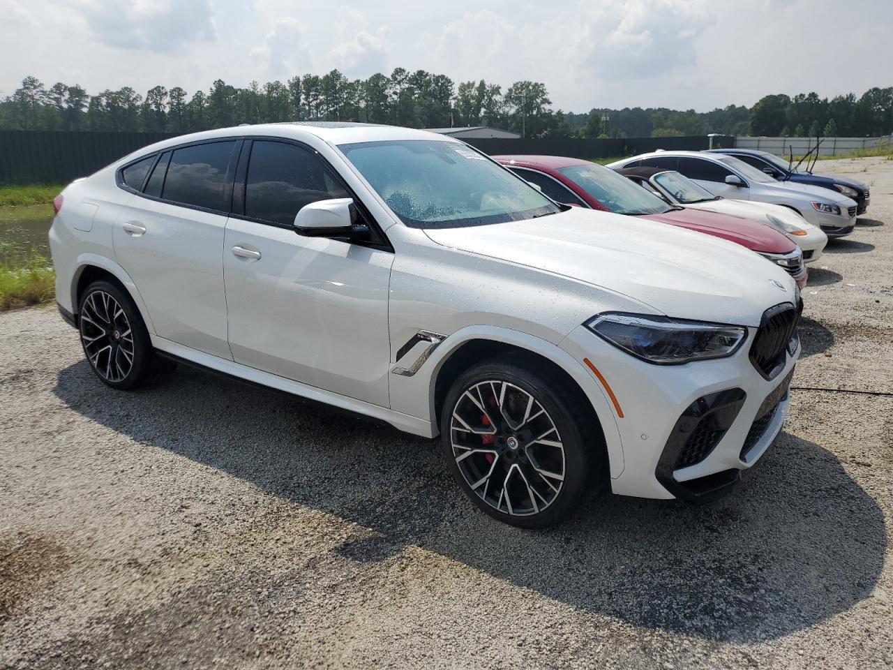 2023 BMW X6 M VIN:5YMCY0C05P9N50034