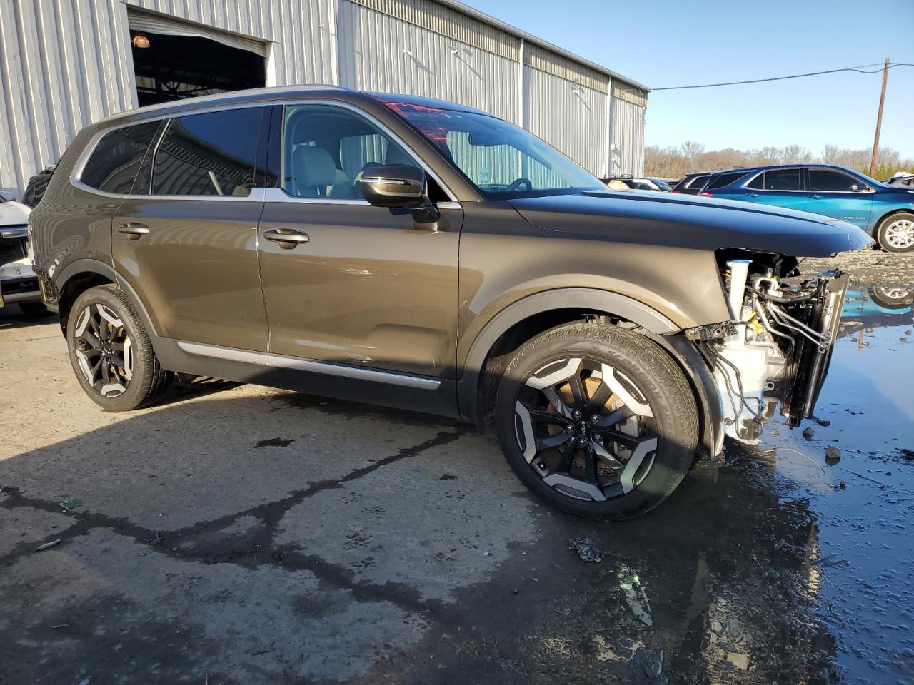 2024 KIA TELLURIDE EX VIN:5XYP3DGC4RG492343