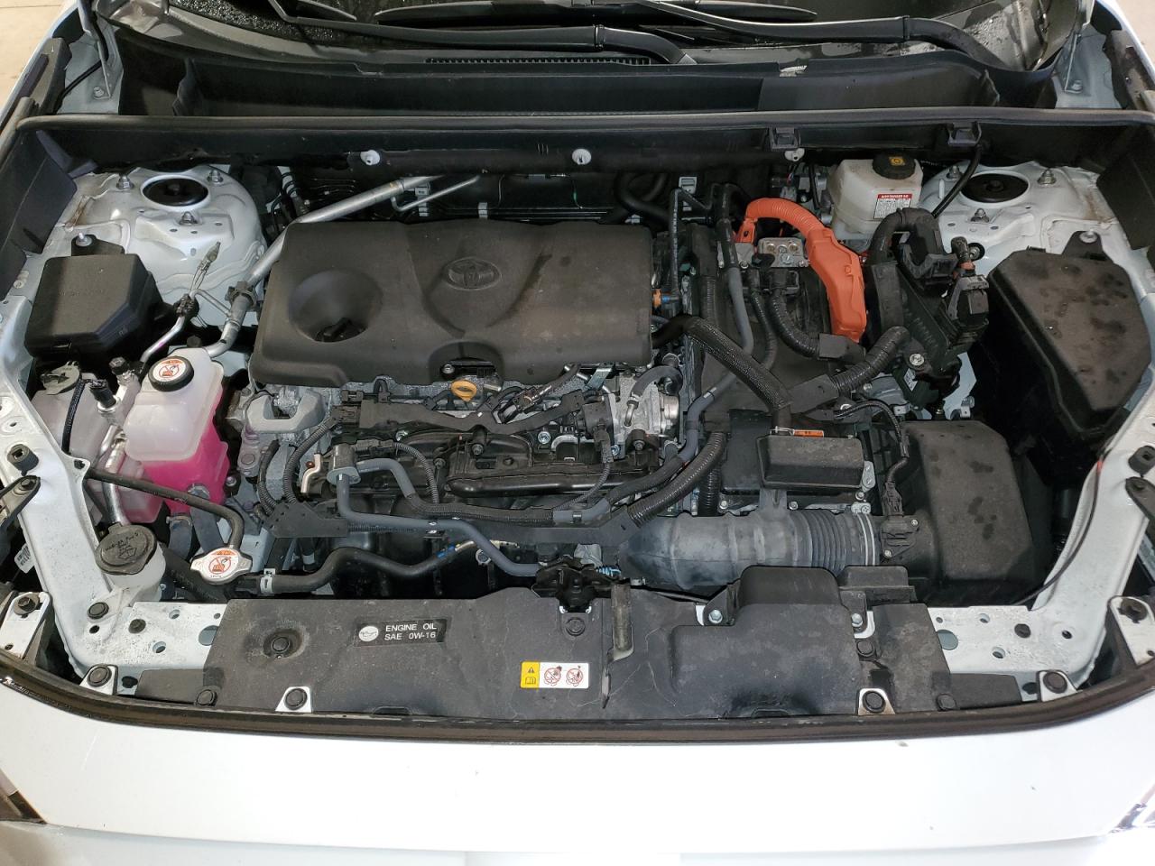2023 TOYOTA RAV4 XLE VIN:4T3RWRFV8PU092848