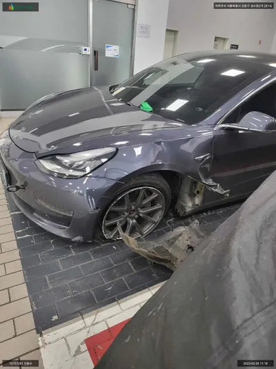 2019 Tesla Model 3 5YJ3E1EB3LF585564 VIN:5YJ3E1EB3LF585564