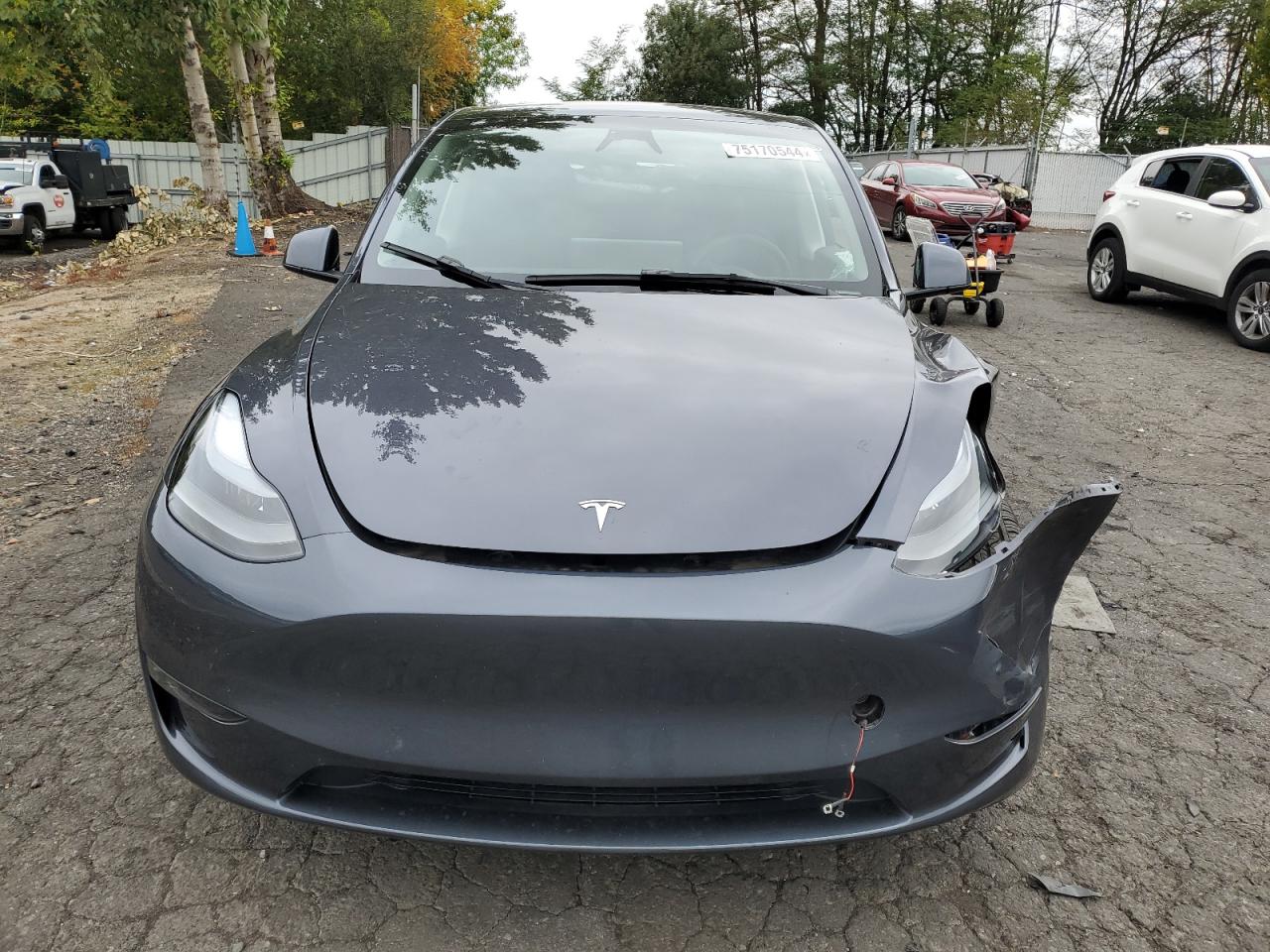 2023 TESLA MODEL Y  VIN:7SAYGDEE6PF904993