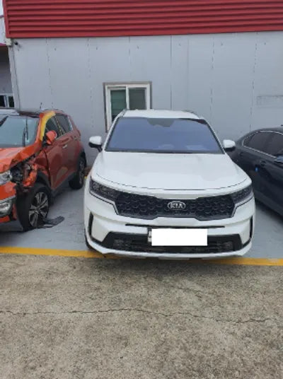 2021 Kia Sorento KNARH81BGMA020410 VIN:KNARH81BGMA020410