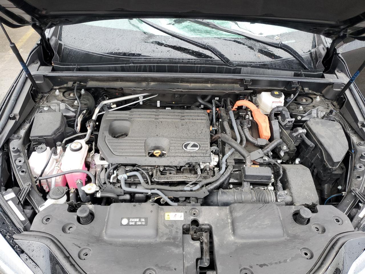 2023 LEXUS NX 350H VIN:2T2AKCEZ4PC012574