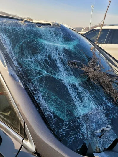 2021 Hyundai Santa FE KMHS5811BNU021082 VIN:KMHS5811BNU021082