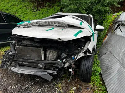 2017 Kia Sorento KNAPS81ABHA320473 VIN:KNAPS81ABHA320473