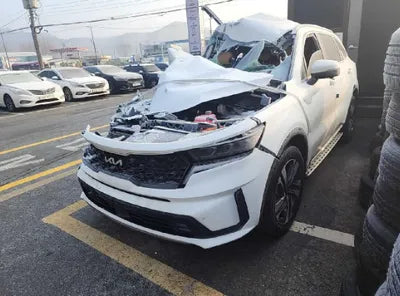 2023 Kia Sorento KNARK81GBPA167065 VIN:KNARK81GBPA167065