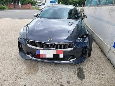 2017 Kia Stinger VIN: