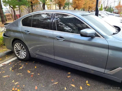 2019 BMW 520 790KMWBAJF3102KWW VIN:790KMWBAJF3102KWW