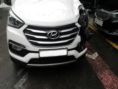 2016 Hyundai Santa FE KMHSW81UBGU697281 VIN:KMHSW81UBGU697281