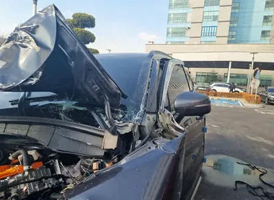 2022 Kia Sorento KNARJ81GBNA065251 VIN:KNARJ81GBNA065251