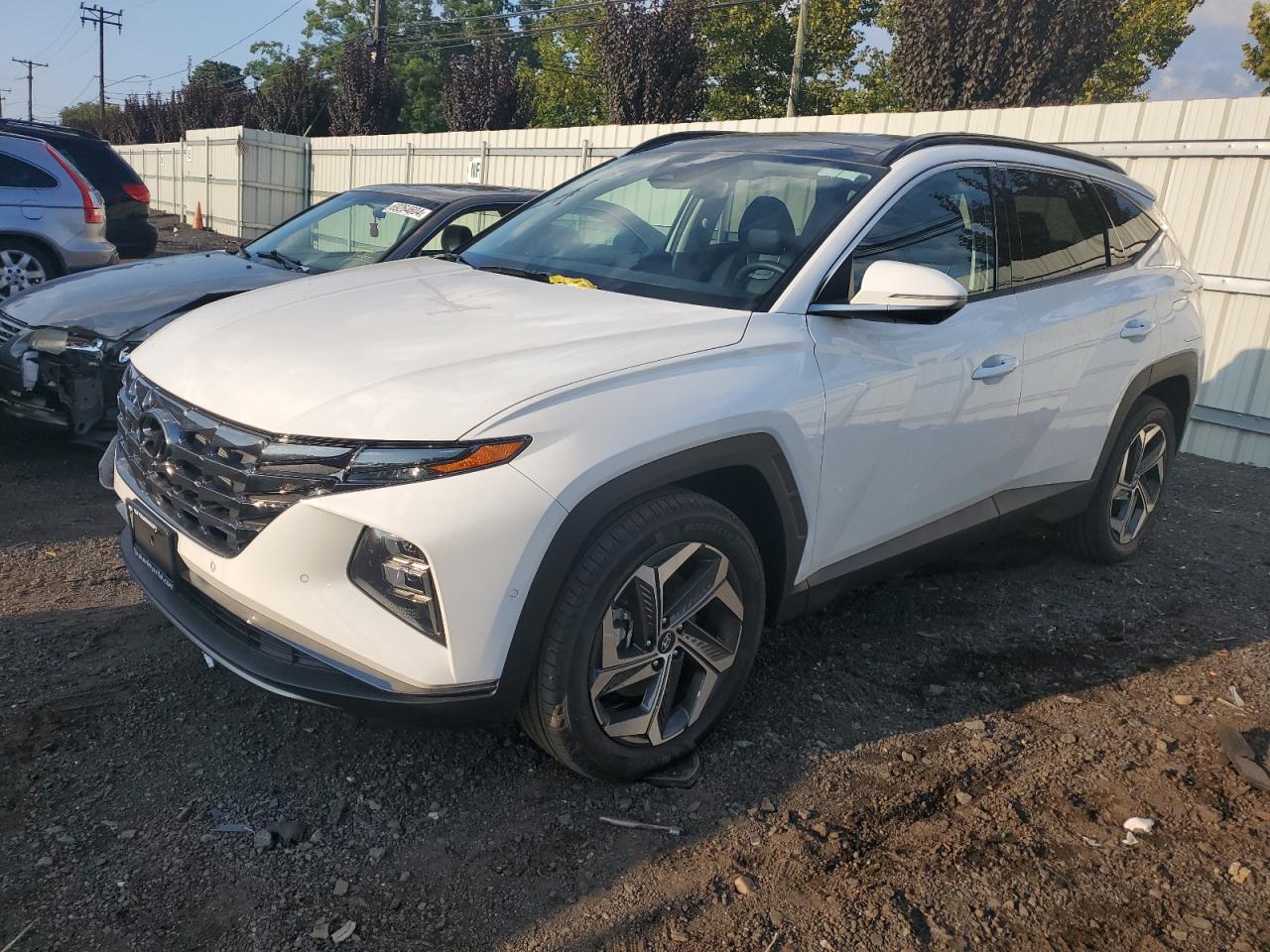 2024 HYUNDAI TUCSON LIMITED VIN:5NMJECDE2RH394028