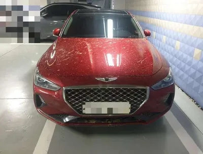 2019 Genesis G70 VIN: