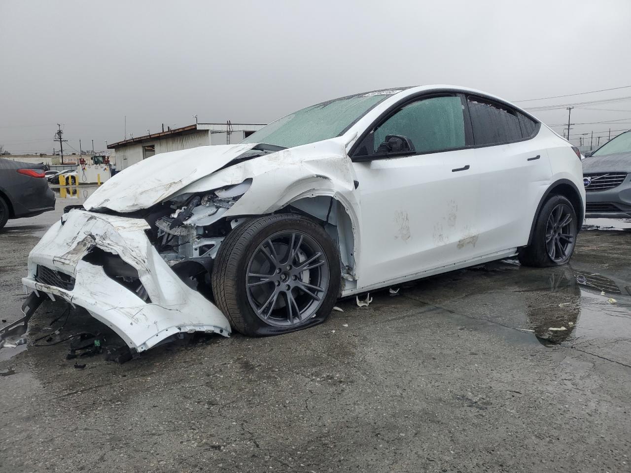2024 TESLA MODEL Y  VIN:7SAYGDEE8RF167265