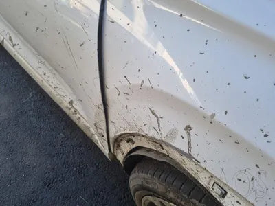 2019 Hyundai Santa FE KMHS581CDKU150496 VIN:KMHS581CDKU150496