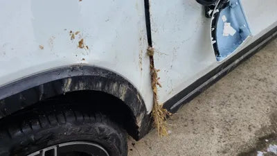 2021 Mercedes-Benz B 250 W1N4M4HB4MW101928 VIN:W1N4M4HB4MW101928