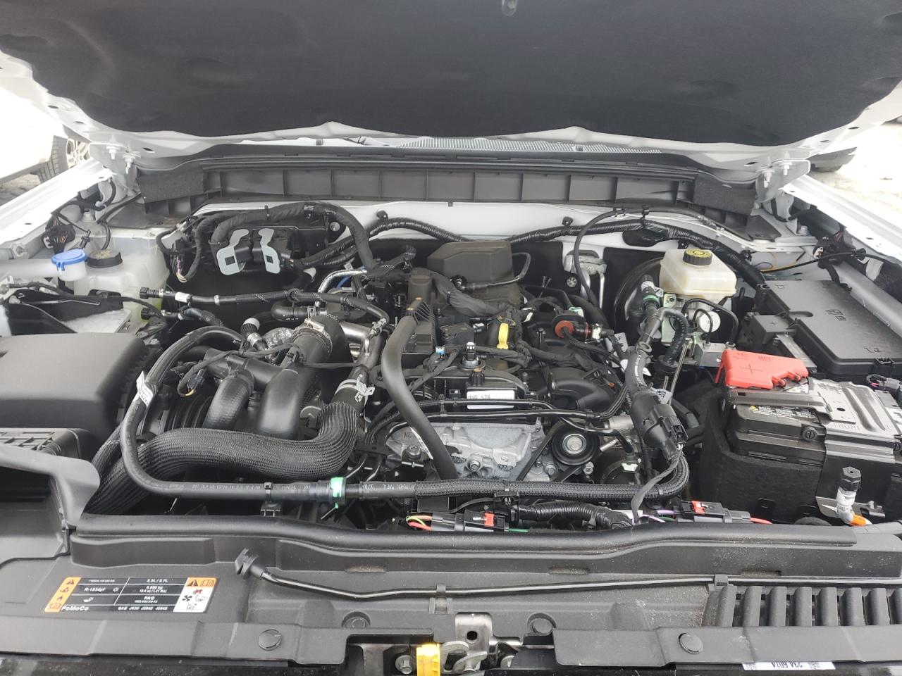 2024 FORD BRONCO OUTER BANKS VIN:1FMDE8BH5RLA99250