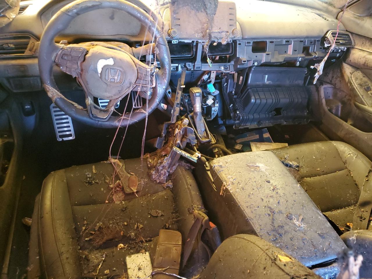 2022 HONDA ACCORD SPORT VIN:1HGCV1F31NA084984