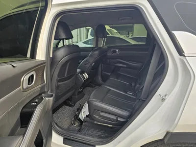 2021 Kia Sorento KNARH81BGMA053240 VIN:KNARH81BGMA053240