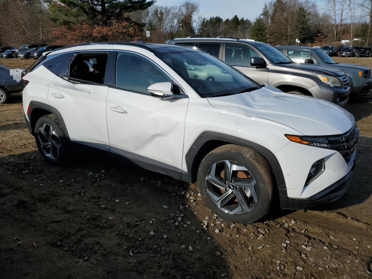 2024 HYUNDAI TUCSON LIMITED VIN:5NMJE3DE3RH362043