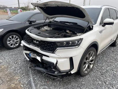 2022 Kia Sorento KNARH81FGPA185808 VIN:KNARH81FGPA185808