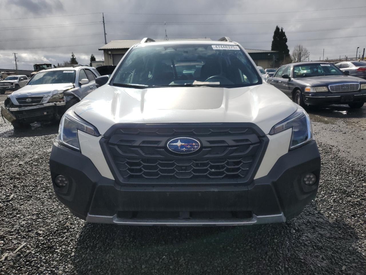 2023 SUBARU FORESTER WILDERNESS VIN:JF2SKAMC7PH519959