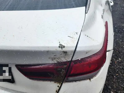 2019 Kia K5 VIN:
