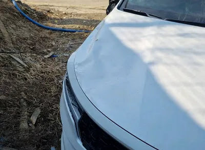 2021 Kia Sorento KNARL81BGMA056006 VIN:KNARL81BGMA056006