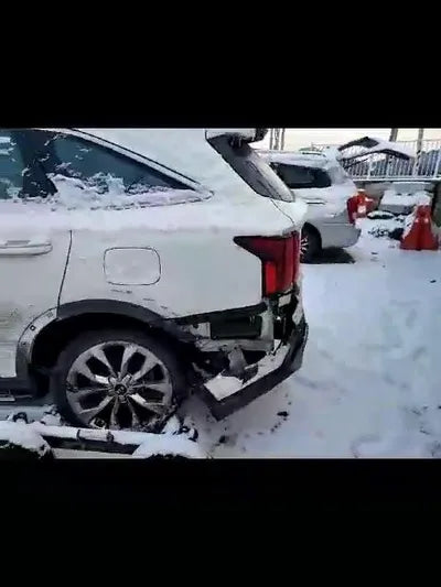2020 Kia Sorento KNARL81BGMA067027 VIN:KNARL81BGMA067027