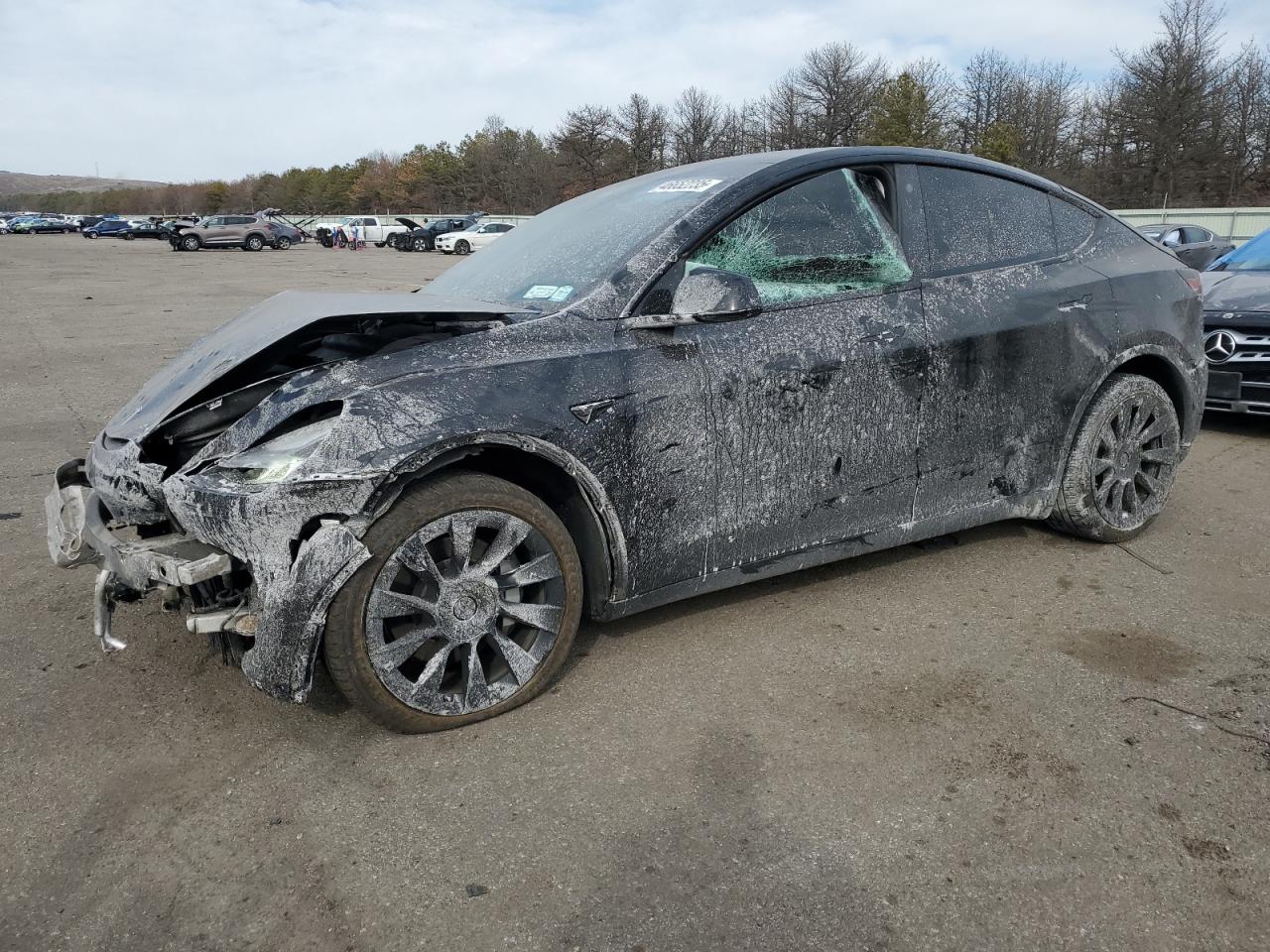 2023 TESLA MODEL Y  VIN:7SAYGDEE0PF690275