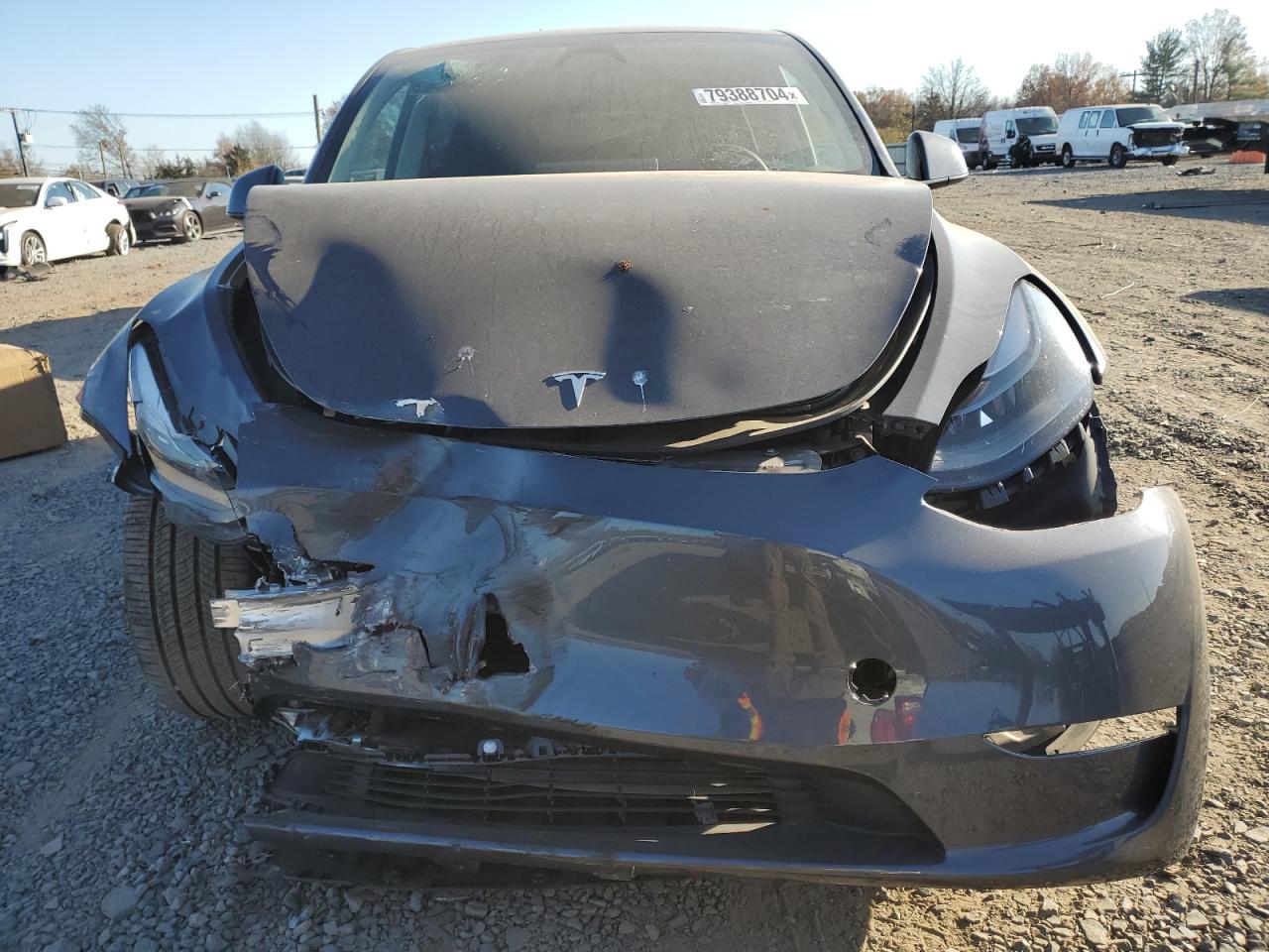 2023 TESLA MODEL Y  VIN:7SAYGDEE3PA194626