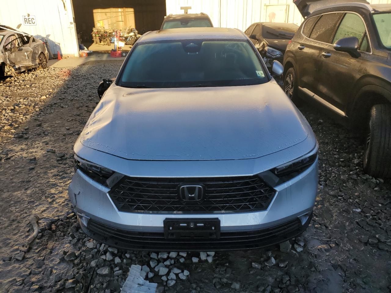 2024 HONDA ACCORD EX VIN:1HGCY1F31RA069494