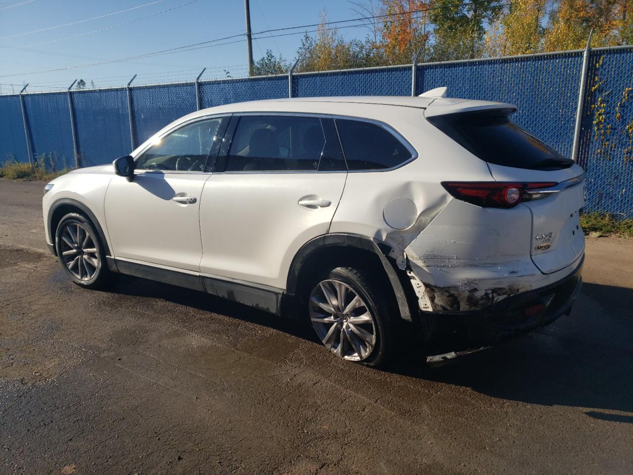 2023 MAZDA CX-9 TOURING VIN:JM3TCBCY6P0630317