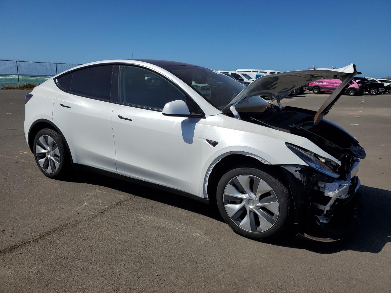 2023 TESLA MODEL Y  VIN:7SAYGDEE2PA150102