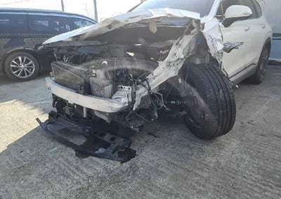 2021 Hyundai Santa FE KMHS381HGMU310393 VIN:KMHS381HGMU310393