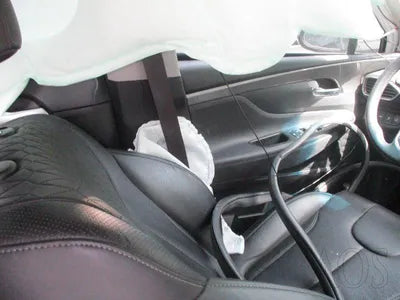 2019 Hyundai Santa FE KMHS381ABKU176707 VIN:KMHS381ABKU176707