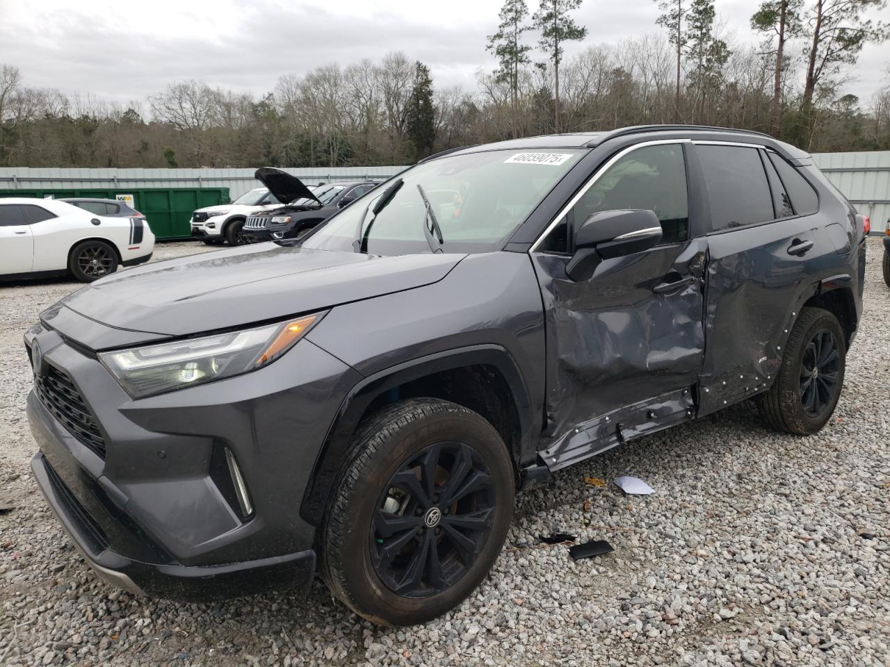 2024 TOYOTA RAV4 XSE VIN:JTME6RFV0RD560232