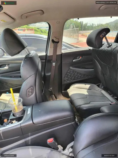 2020 Hyundai Santa FE KMHS381HGMU323979 VIN:KMHS381HGMU323979