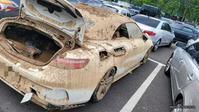 2019 Mercedes-Benz E 220 WDD1K1EB0KF115623 VIN:WDD1K1EB0KF115623