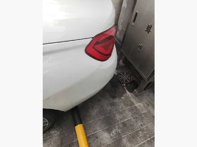 2018 BMW 430 WBA4Z1102JEF34620 VIN:WBA4Z1102JEF34620