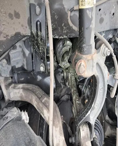 2019 Genesis G90 VIN: