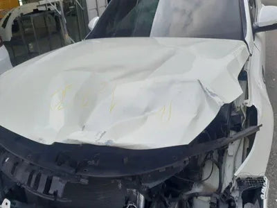 2020 Kia K5 KNAGT416BLA372350 VIN:KNAGT416BLA372350