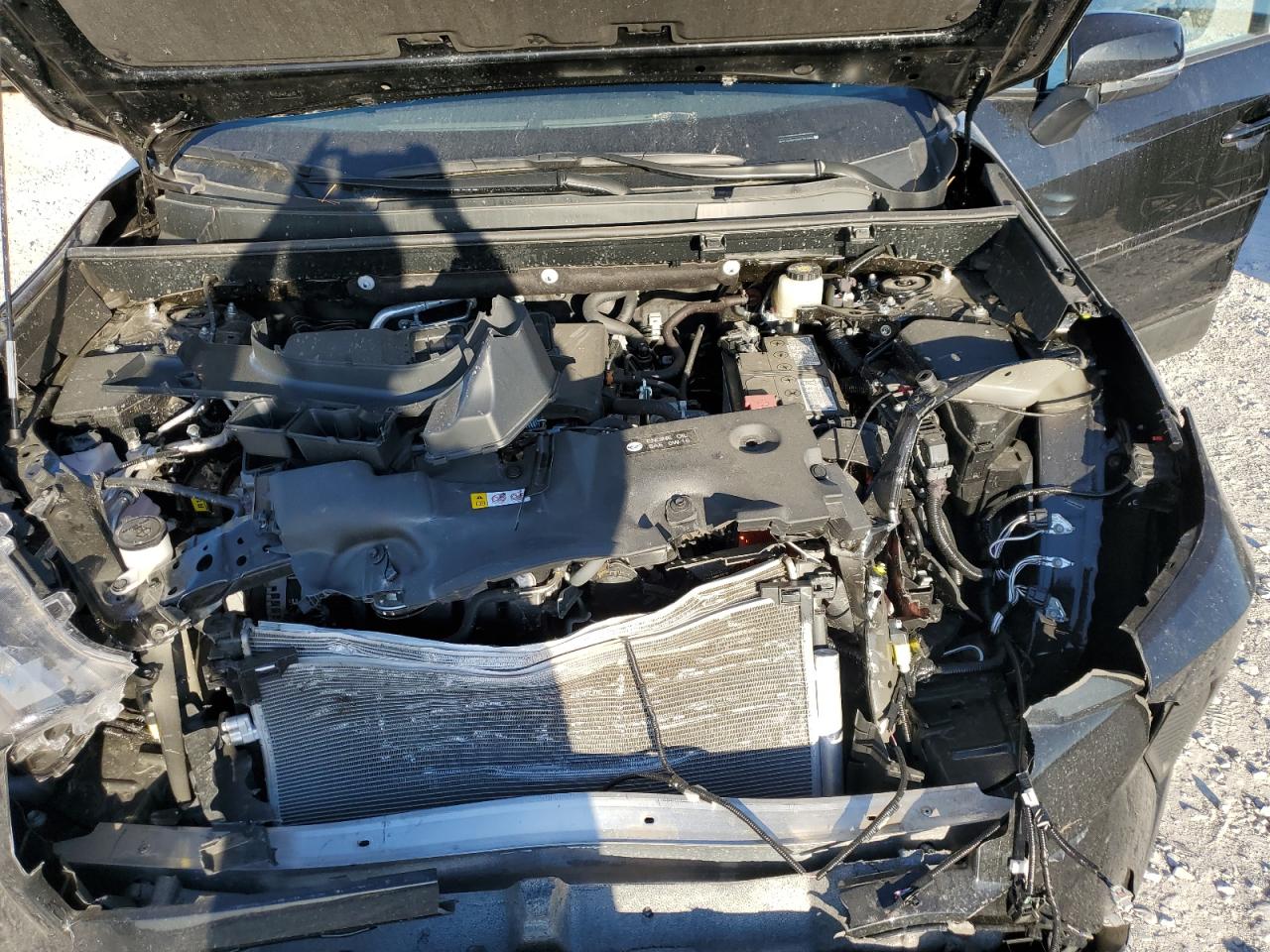 2023 TOYOTA RAV4 XLE VIN:2T3W1RFV7PC221956