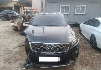 2020 Kia Sorento KNAPH81BBLA567645 VIN:KNAPH81BBLA567645