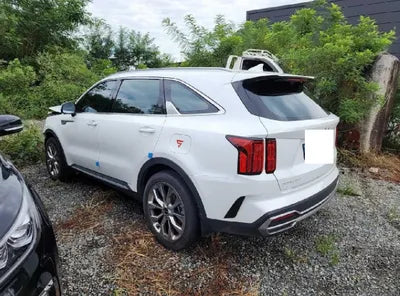 2023 Kia Sorento KNARG81FHPA195674 VIN:KNARG81FHPA195674