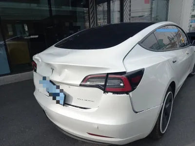 2021 Tesla Model 3 5YJ3E1EB4MF891562 VIN:5YJ3E1EB4MF891562